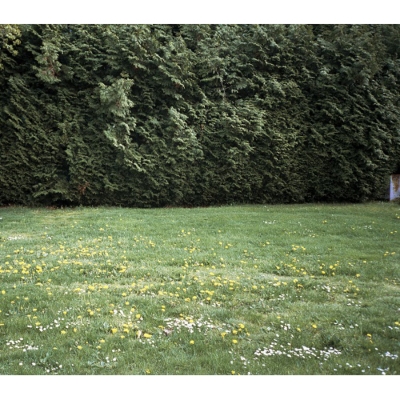 Ghosts (アナログレコード) : ミツメ | HMV&BOOKS online - PEJF91025