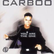 You Are The One : Carboo | HMV&BOOKS online - TOCP-64176