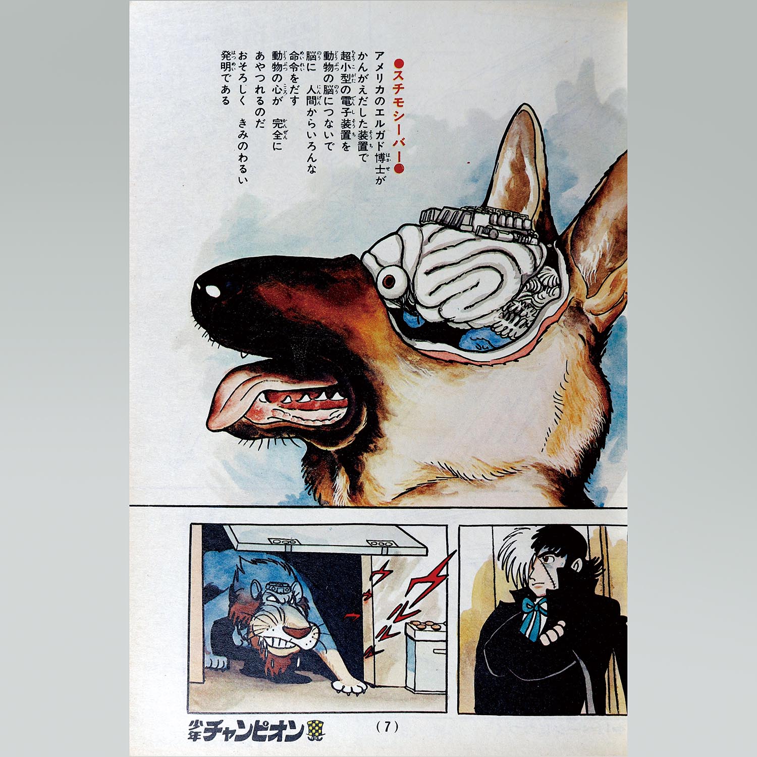 7501］ 少年チャンピオンコミックス/手塚治虫「ブラックジャック 全25