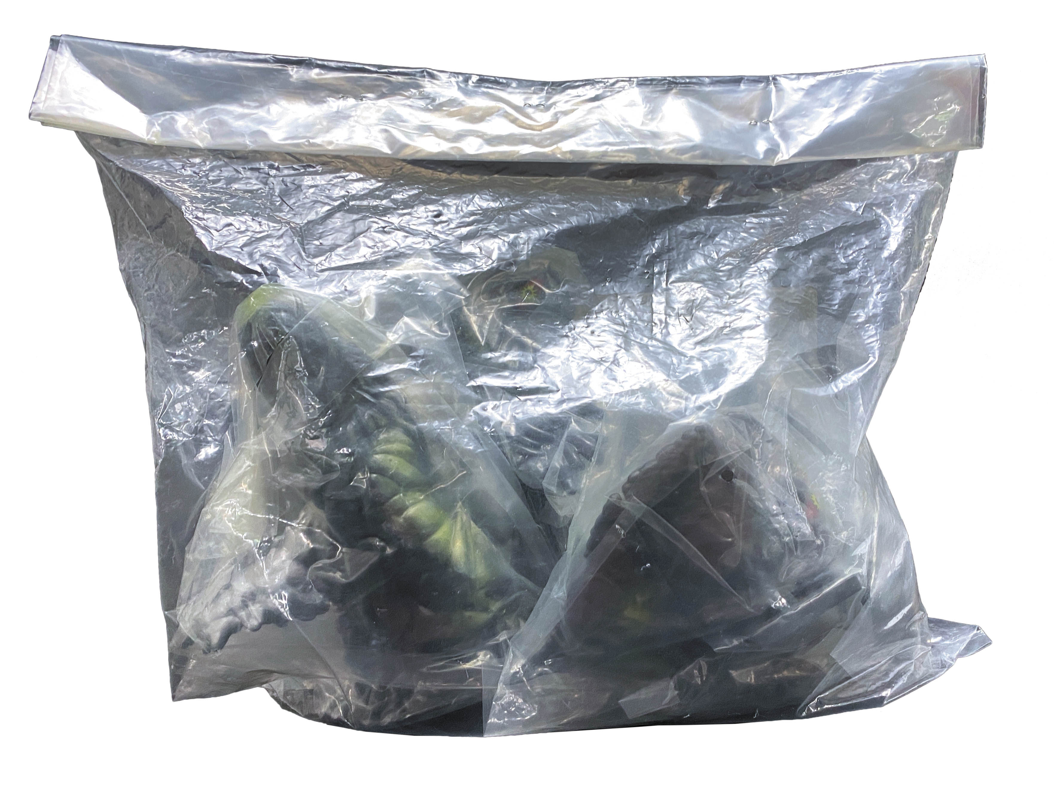 マーミット ヘドラ すぱ☆ホビ限定 飛行体セット ワシズカラーSP