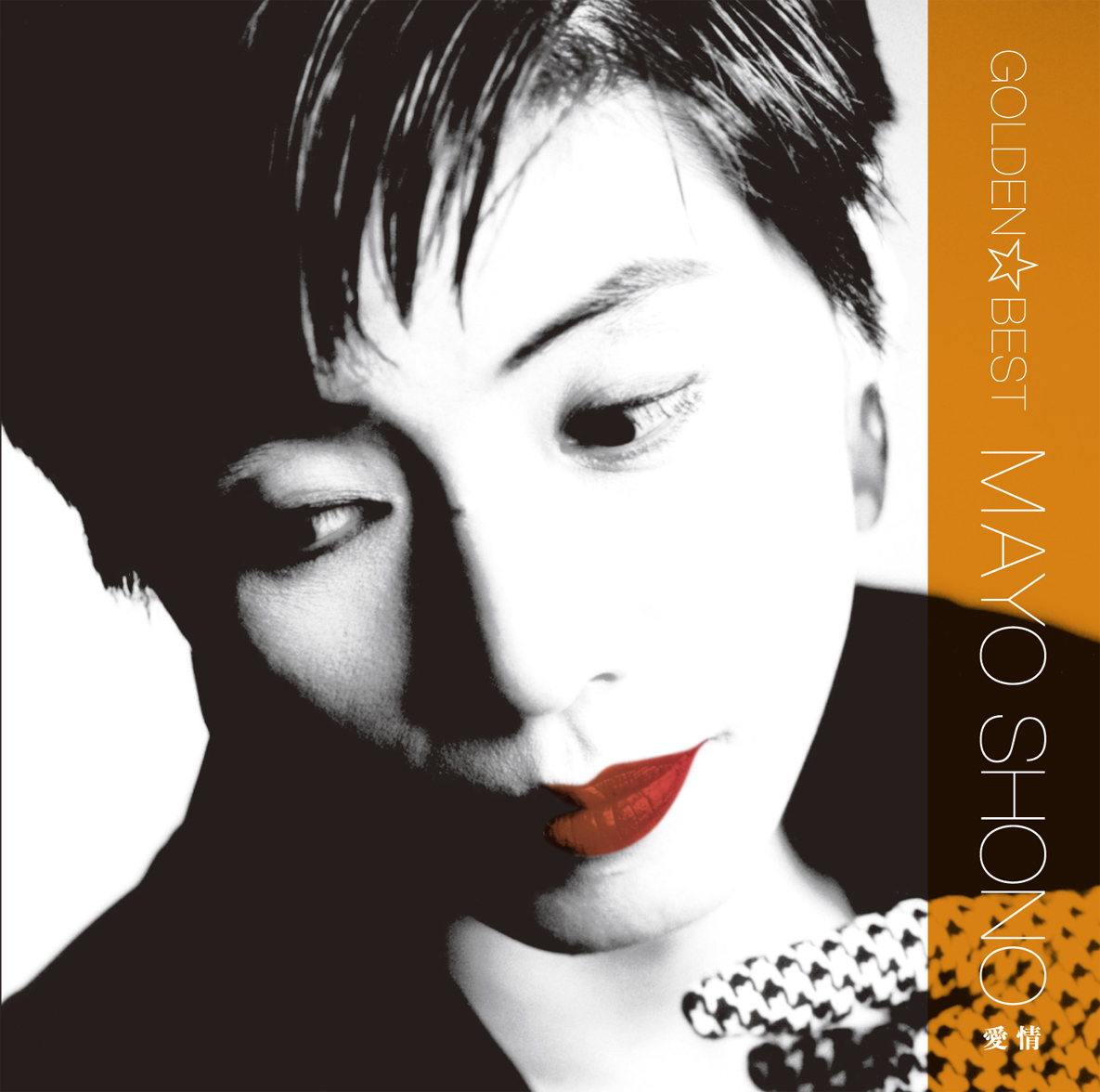 ワークス - 庄野真代オフィシャルサイト