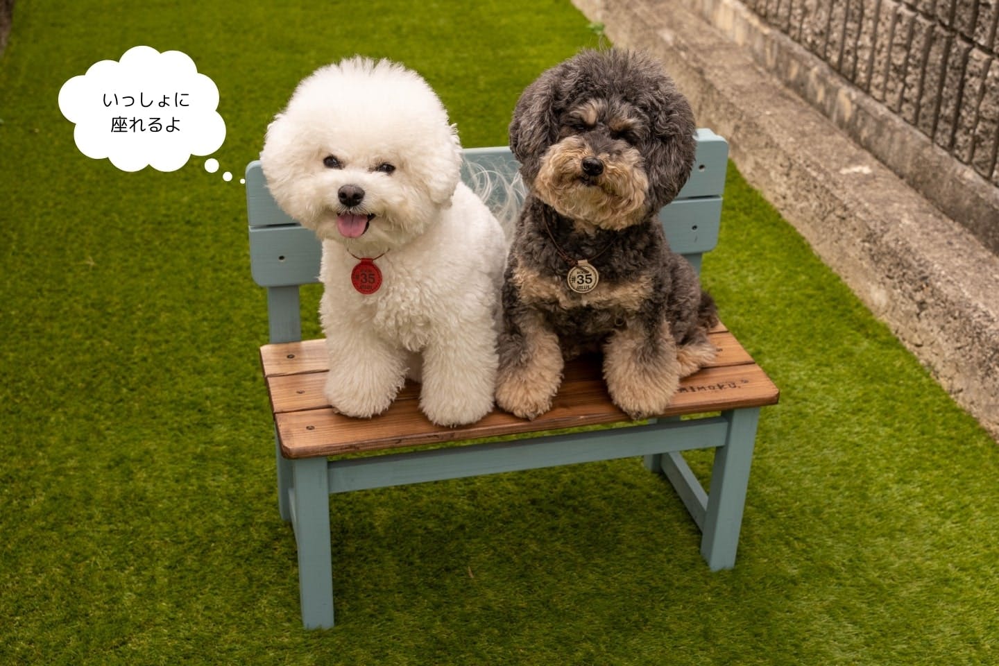 木材カット不要】愛犬サイズのミニベンチをDIY！ カインズの木工キット