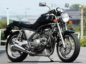 スポーツバイクの可能性を追求した、稀代のシングルスポーツ「SRX600