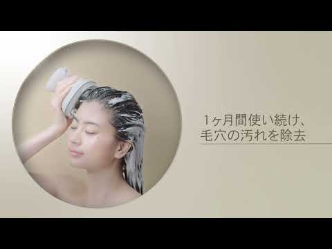 EH-HE0G-T ヘッドスパ 国内・海外兼用 AC100-240V ブラウン調