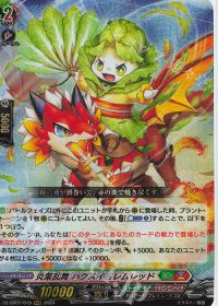 涼】デッキ紹介 ストイケイア-ロロワ | ヴァンガード | トレカ通販