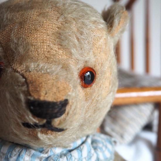 アンティーク テディベア | イギリス チャドバレー マグナベア