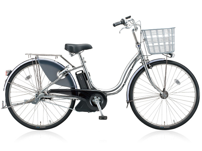 ブリヂストン アシスタDX A6D84 [P.XシーニックGミント] + 専用充電器