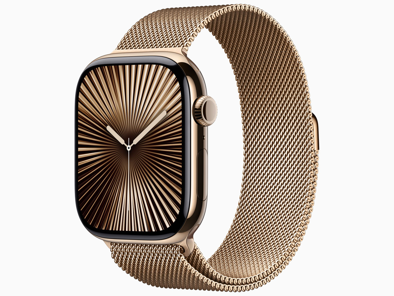 Apple Apple Watch Series 10 GPS+Cellularモデル 46mm MC7T4J/A