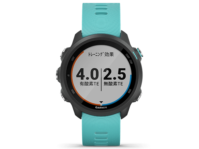 ガーミン ForeAthlete 245 Music 010-02120-71 [White Black] 価格比較