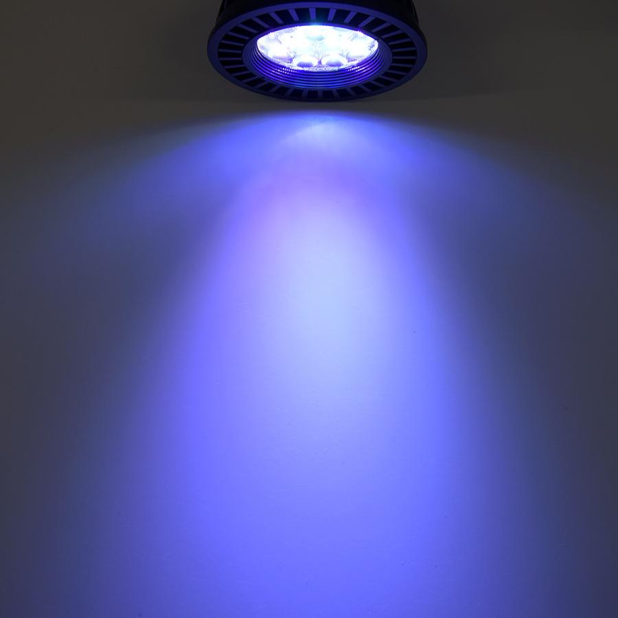 volxjapan（ボルクスジャパン） Grassy LeDio RX122s