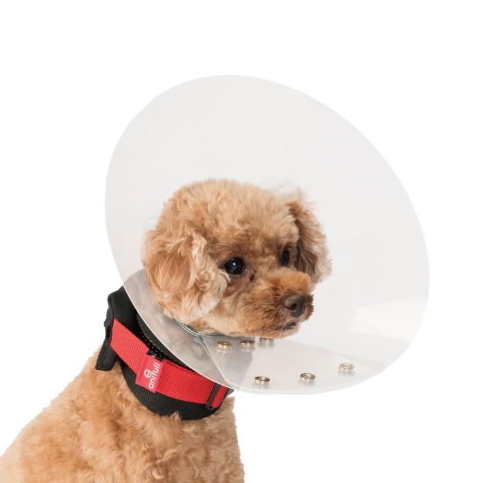 anifull 公式】 アニサポ ネック Sサイズ アニフル ダイヤ工業 日本製