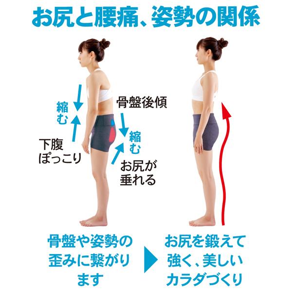 アルファックス おしりを鍛える トレーニング チューブ ヒップアップ