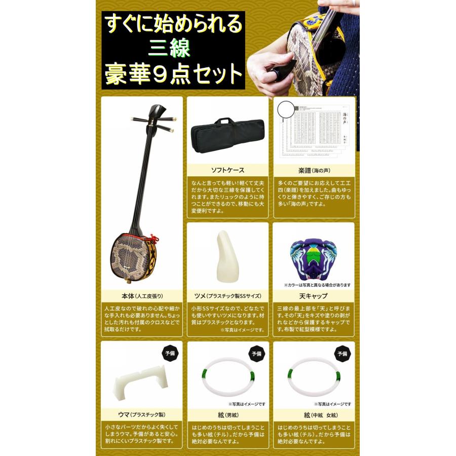 三線本体 ケース ストラップ 爪 予備弦 教本付き 沖縄三線 ケース付 爪