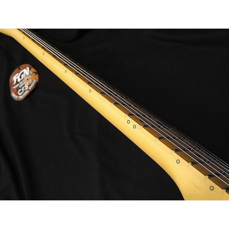 FUJIGEN（フジゲン） FGN FUJIGEN NTE100MAH VNT テレキャスター