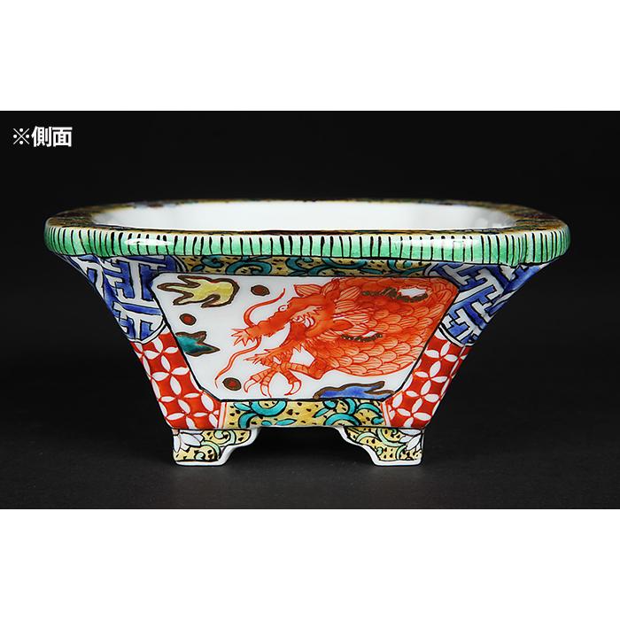 九谷晃雲色絵龍図長方鉢 盆栽鉢 鉢 植木鉢 小鉢 bonsaipot 作家鉢 くた