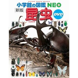 小学館の図鑑 NEO〔新版〕 昆虫 DVDつき : 三省堂書店 Yahoo