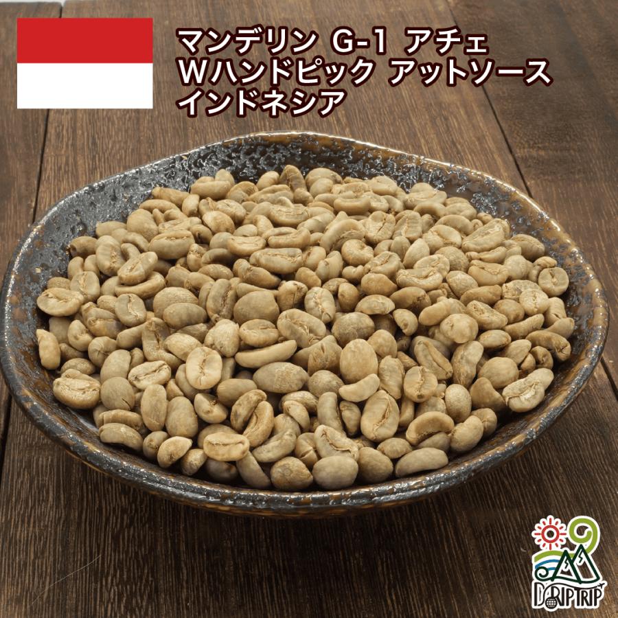DRIP TRIP 生豆 マンデリン G-1 アチェ Wハンドピック アットソース