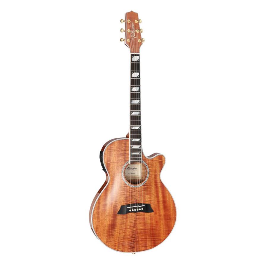 Takamine タカミネ エレクトリックアコースティックギター 100