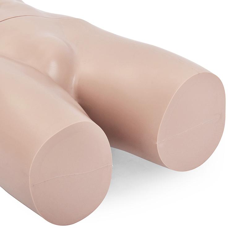 ひざ上トルソー メンズ 高さ115cm 【Y体】 B98×W76×H94cm 男性用