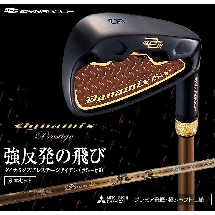 DYNAGOLF（ダイナゴルフ） ゴルフ アイアンセット 6本 メンズ 新品 5I