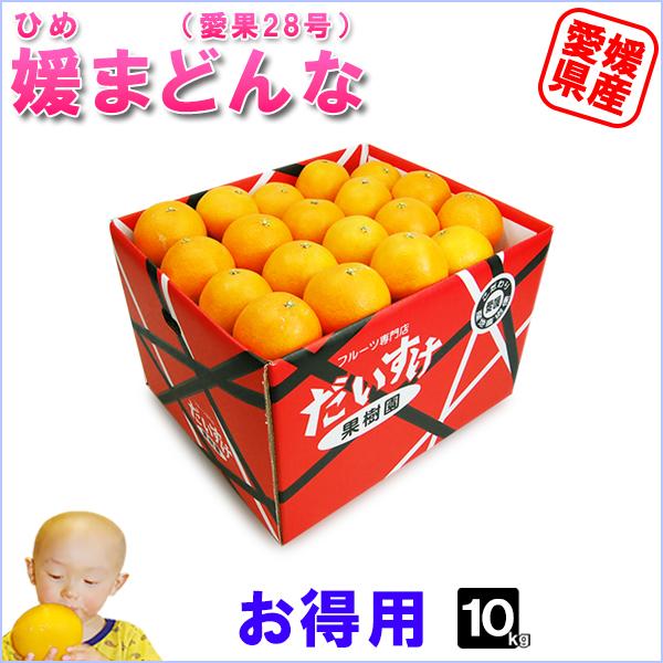 媛まどんな お得用 10kg : 愛媛だいすけ果樹園 - 通販 - Yahoo