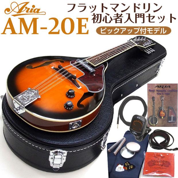 マンドリン ARIA アリア AM-20E 初心者 11点セット ピックアップ搭載