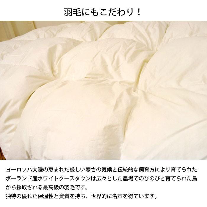 羽毛布団 ダブル 暖かい布団 グース93% オールシーズン2枚合わせ羽毛
