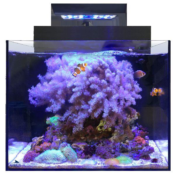 レッドシー シェル2 オールインワン水槽 キャビネットセット : G3 AQUA