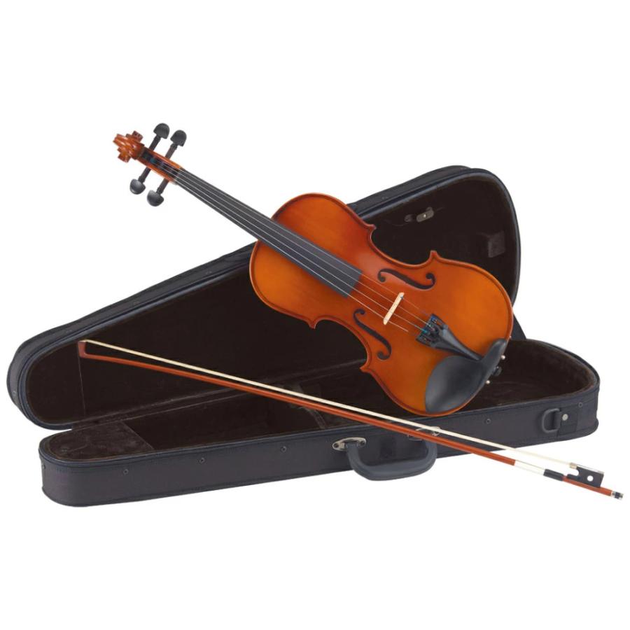 Carlo giordano VS-1 1/2サイズ : ミュージックランドKEY - 通販