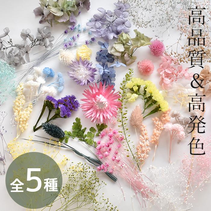 MY mama ドライフラワー 大地農園 アソート セット 全5種類 ケース付