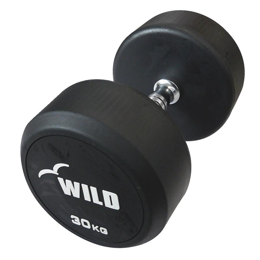 WILD FIT（ワイルドフィット） 固定式 ダンベル 30kg WF / 鉄アレイ
