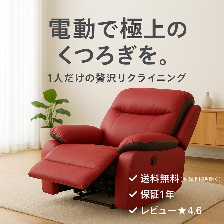 レビュー高評価4.6☆ 爆買 メーカー保証 最短発送 リクライニング