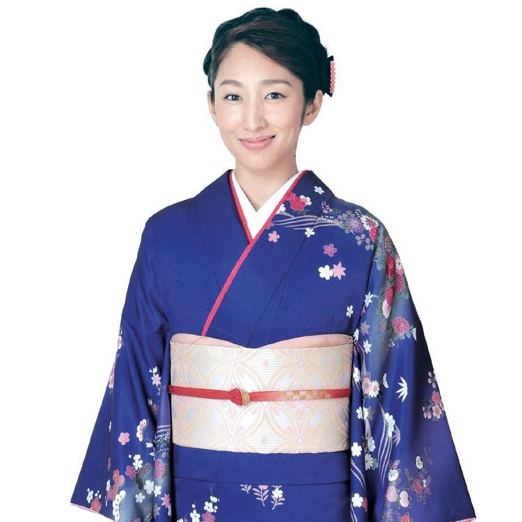 H.L（アッシュ・エル） 訪問着 フルセット 18点 洗える 着物 帯 長襦袢