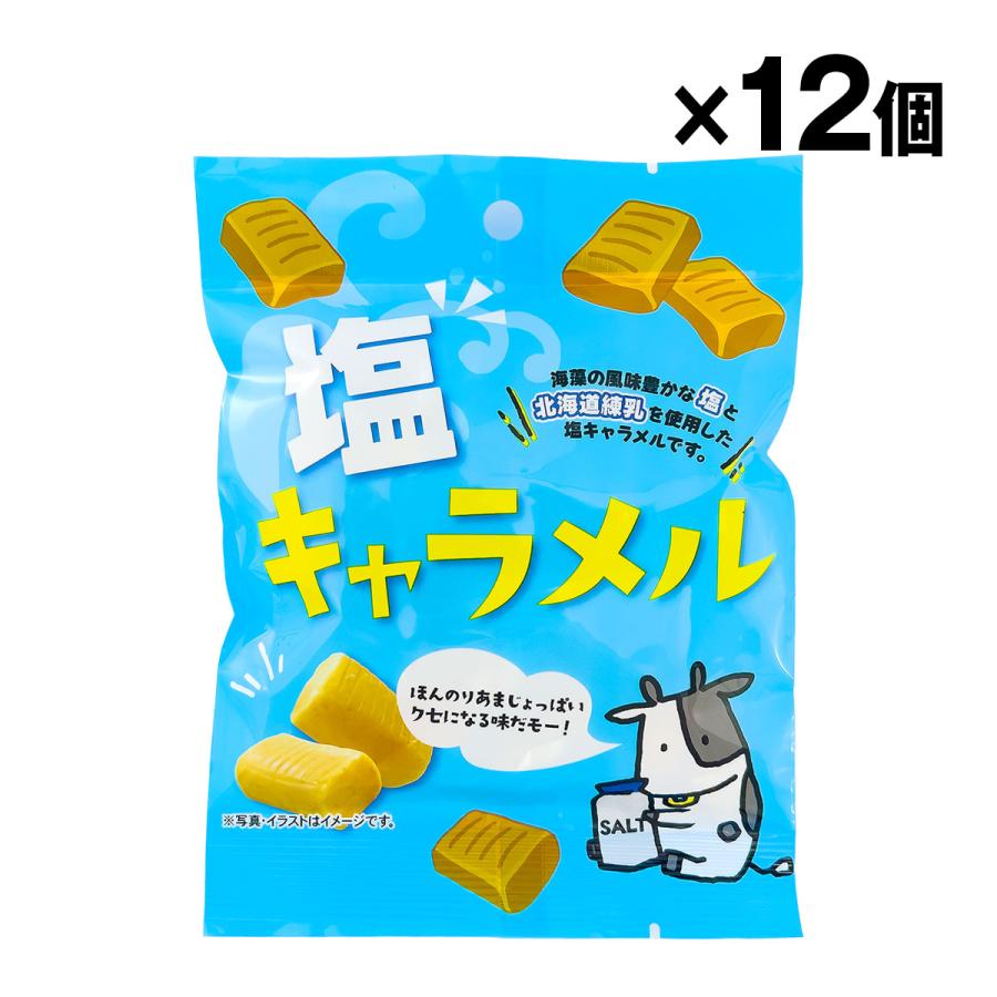 塩キャラメル 55g ×12袋入 1ケース ケース売り : クリエイターズ天国