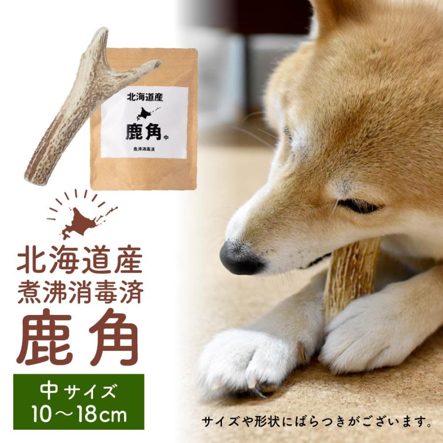 鹿角 犬 エゾシカ 北海道 中サイズ（小型犬〜中型犬に）10〜18cm