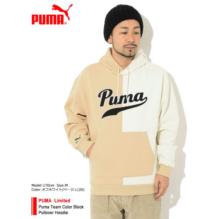PUMA（プーマ） パーカー プルオーバー メンズ チーム カラー ブロック
