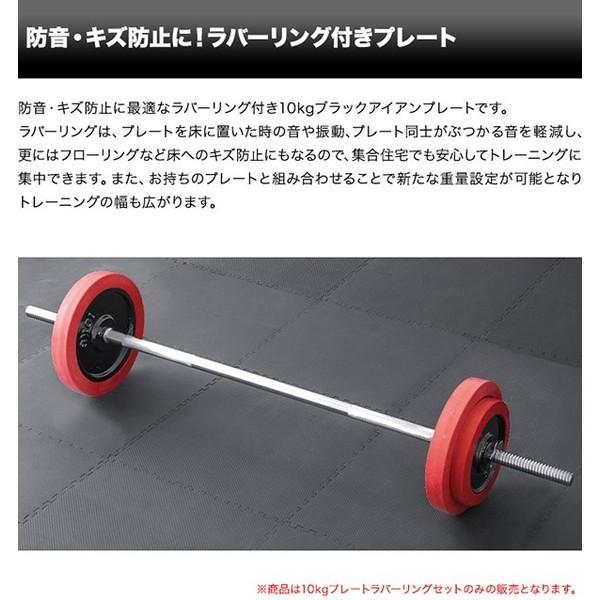 ニサクラ☆10kg×2枚 5kg×2枚 バーベルプレート EZバー セット 楽天市場