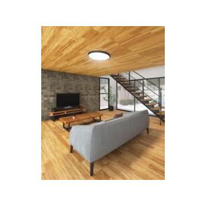 ODELIC（オーデリック） シーリングライト 【OL291416BR】【OL 291