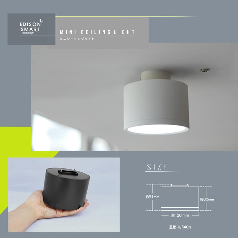 Edison Smart（エジソンスマート） ダクトレール 引掛けシーリング用