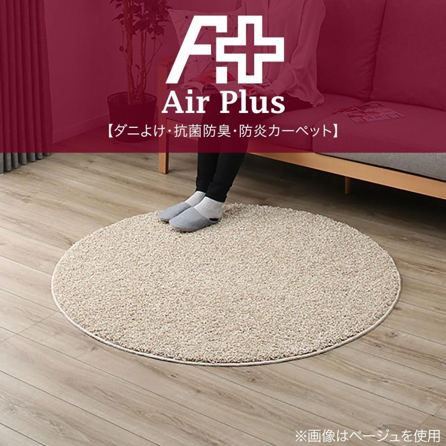 ニトリ（NITORI） ダニよけ・抗菌防臭・防炎カーペット(エアープラス