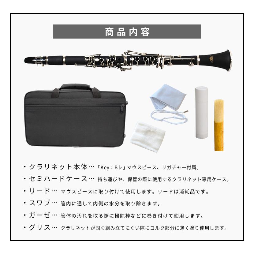 Soleil クラリネット SCL-1〔B♭〕単品〔専用ケース、その他付属品付き