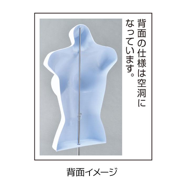 ストア・エキスプレス マネキン トルソー メンズ 男性_紳士卓上