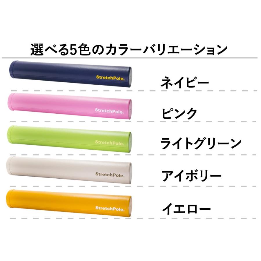 ストレッチポールMX(ネイビー)株式会社LPN : ストレッチポールLPN