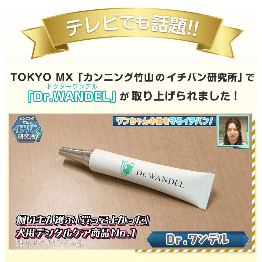 正規品 Dr.wandel ドクターワンデル 30g ( 1ヶ月分 ) 愛犬の歯周病予防