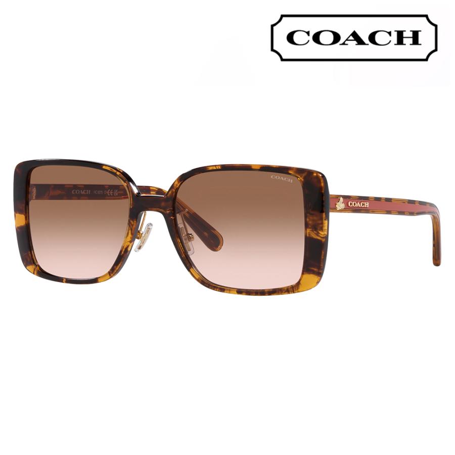 COACH（コーチ） オススメ価格 サングラス HC8375 512013 56 スクエア