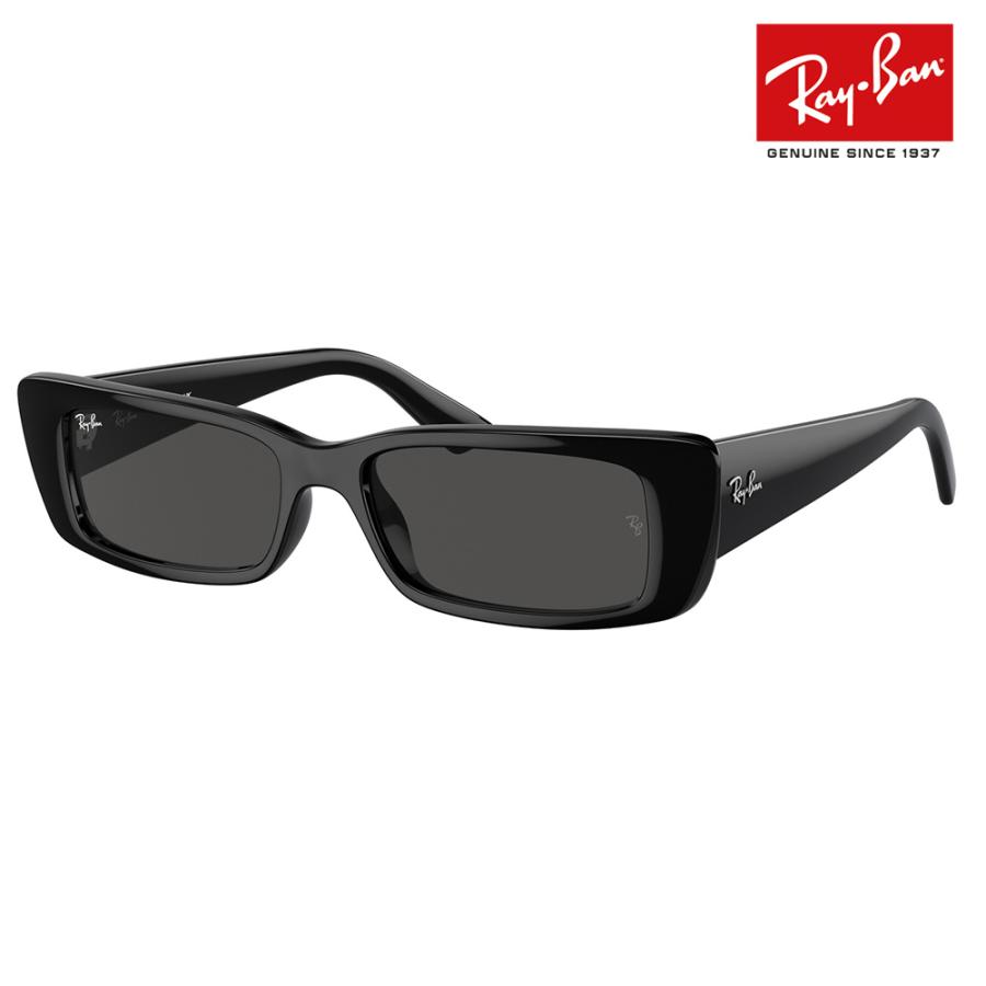 Ray-Ban（レイバン） サングラス 純正レンズ対応 RB4425F 667787 54