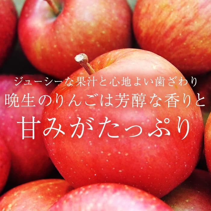 りんご サンふじ 王林 MIX 青森県産 特A 約3kg 9〜12玉 爆買 : 産直