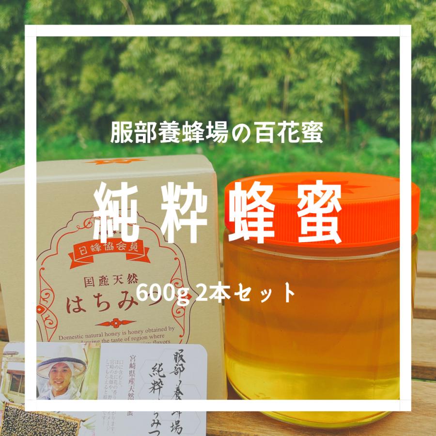 2025年度】国産ハチミツ【600g＊2本】 宮崎県産純粋ハチミツ : やお