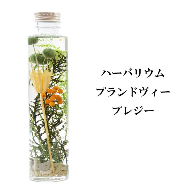ハーバリウム プランドヴィー 花材 オイル 瓶 花 植物 ギフト