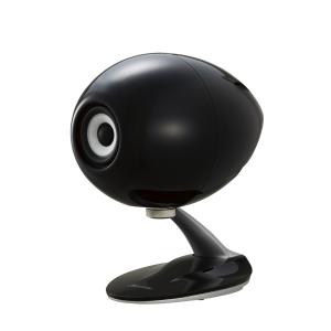 ECLIPSE イクリプス TD508MK4 ブラック (1本) スピーカー : サウンド